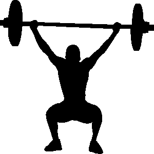 Грифы